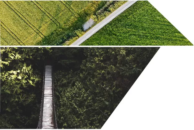 Photo composite of an aerial photo of a famer's field, forest, and a lake edge